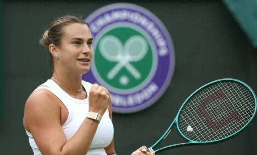 和应变能力 和应变能力