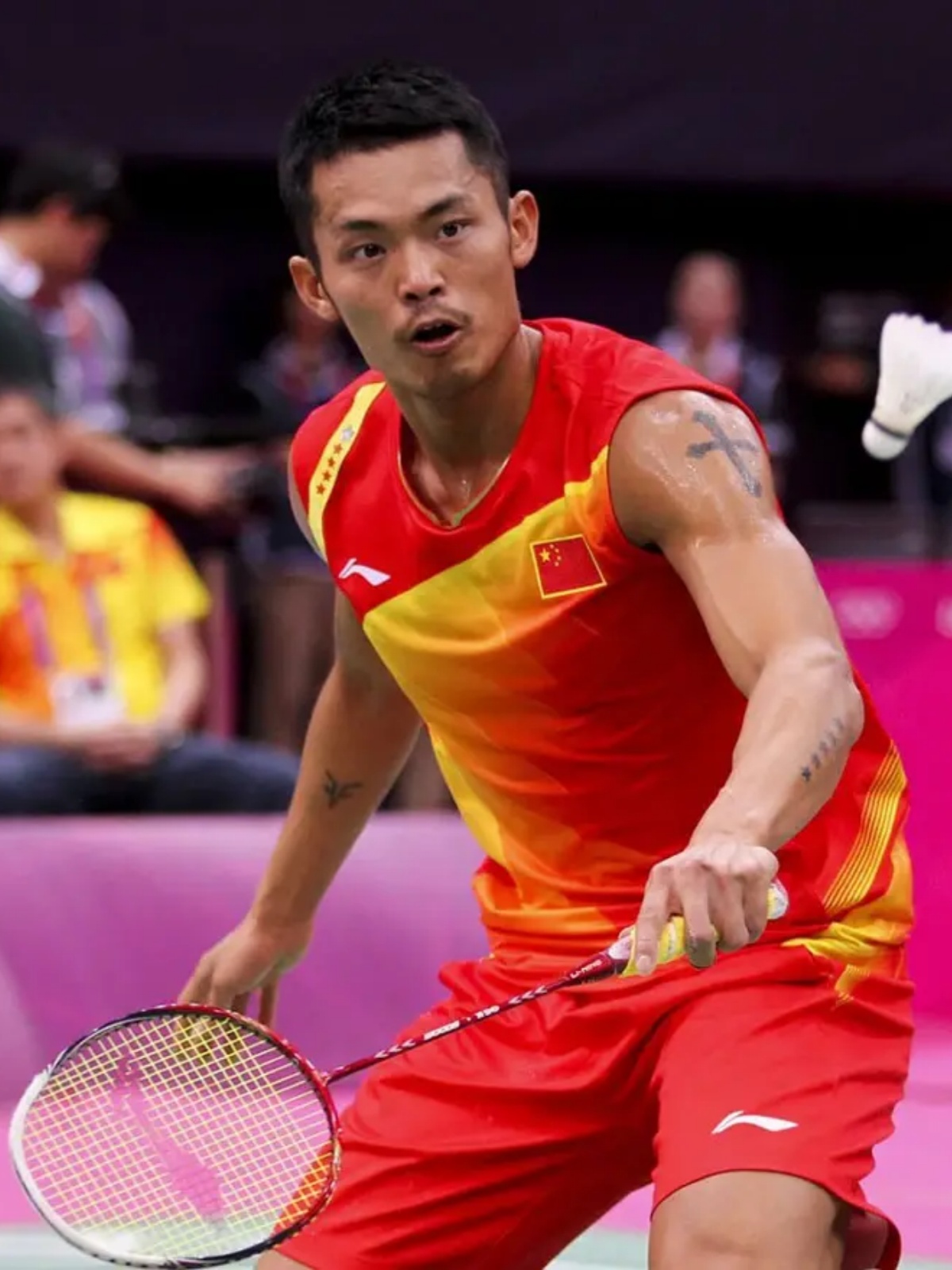 上体验多样 上体验多样