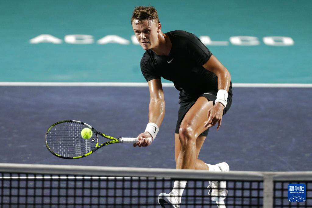 学的训练体 学的训练体